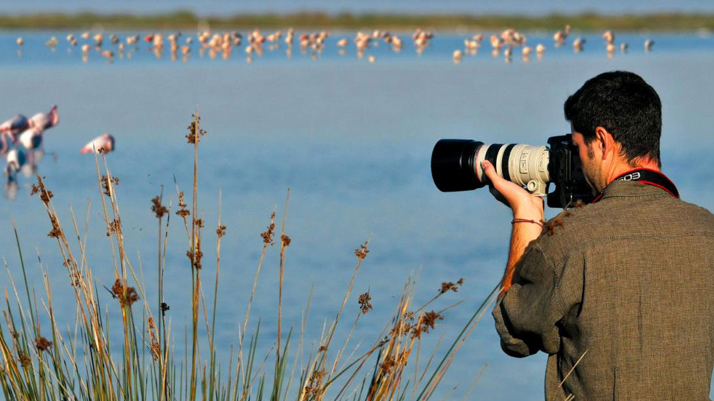 Salamis bölgesinde kuş gözlemi düzenleniyor